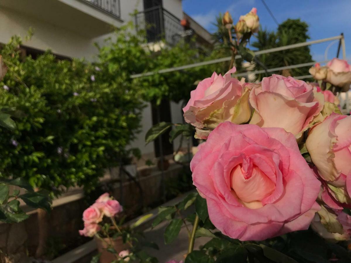 El Nur Bed & Breakfast ซานวิโต โลคาโป ภายนอก รูปภาพ